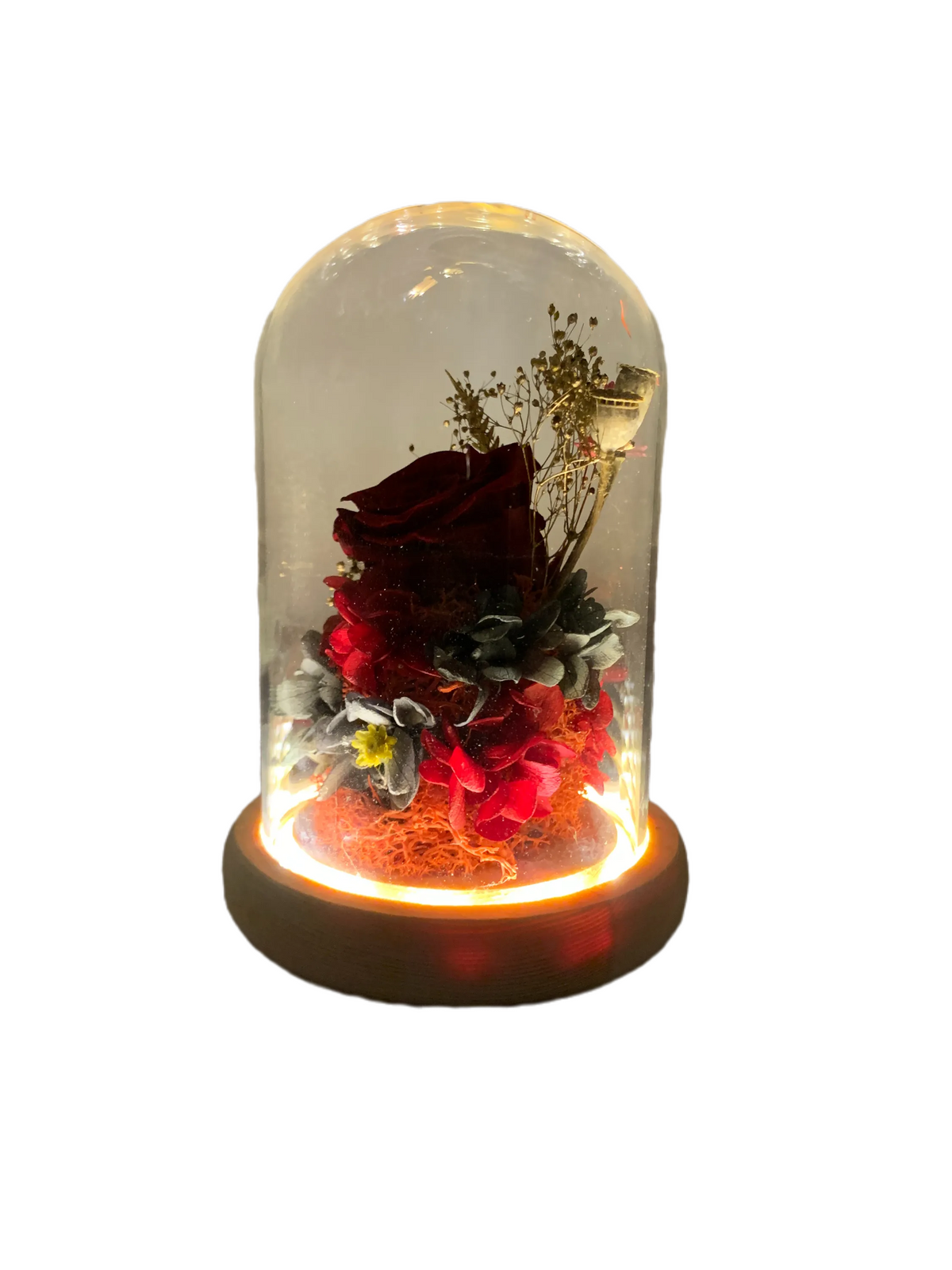 Red Preserved Rose with LED