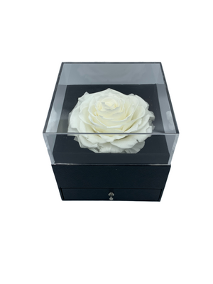 Only Gift Box With Roses Without Jewelry