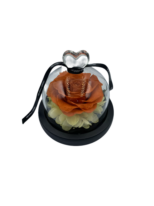 Orange Preserved Rose with LED