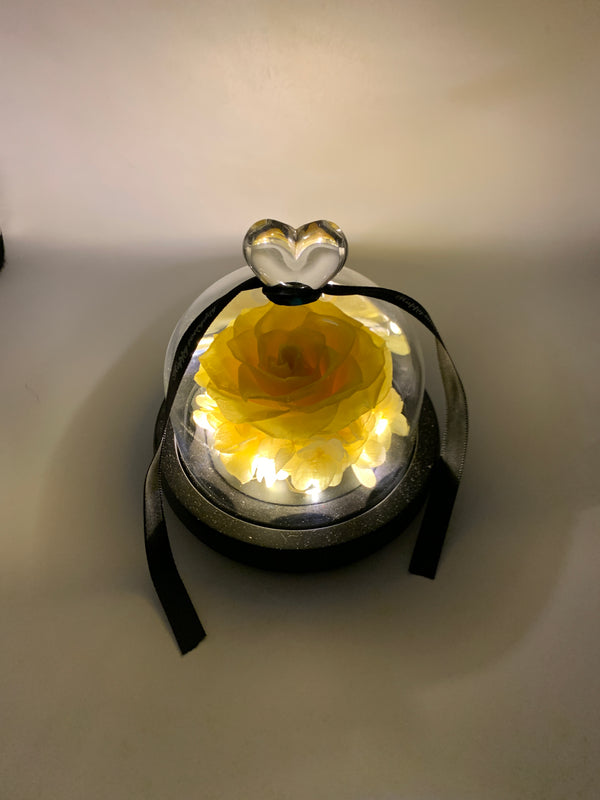 Yellow Preserved Rose with LED