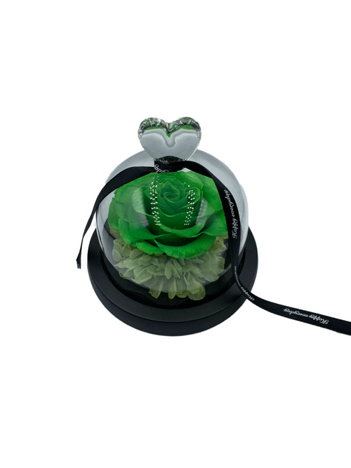 Green Preserved Rose with LED