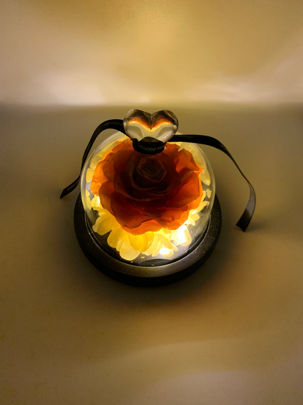 Orange Preserved Rose with LED