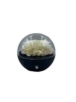 Only Gift Box With Roses Without Jewelry