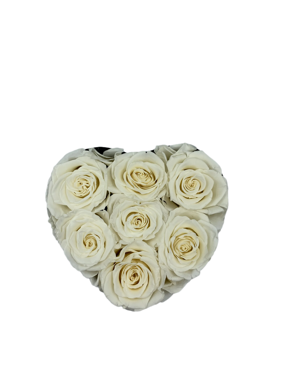 White Preserved Roses Bouquet