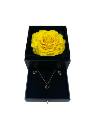 Same As Shown In The Gift Box