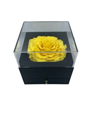 Only Gift Box With Roses Without Jewelry