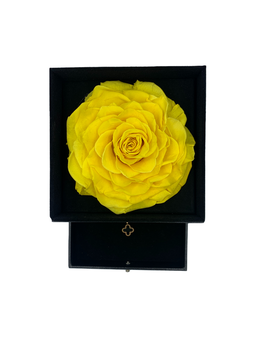 Forever Rose Jewelry Box
