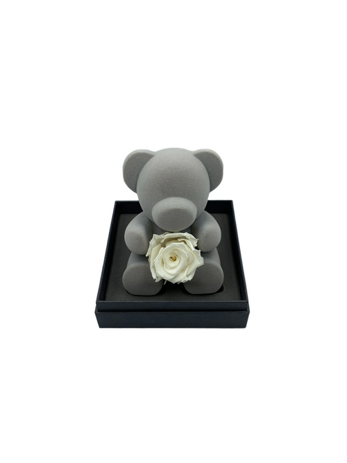 Eternal White Rose Bear