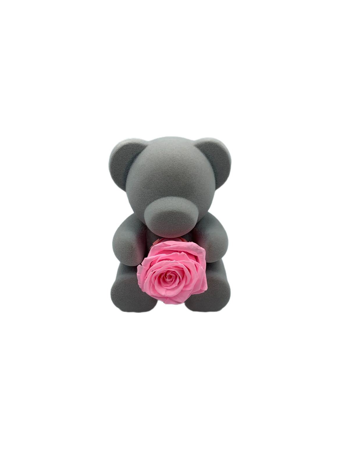 The 'Sweetheart' Pink Preserved Rose Teddy