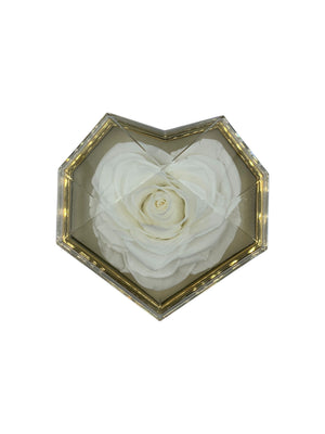 Only Gift Box With Roses Without Jewelry
