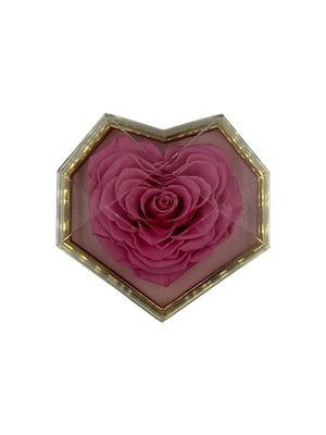 Only Gift Box With Roses Without Jewelry